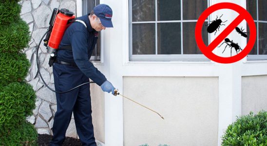Karatay Böcek İlaçlama böcek ilaçlama ve haşere kontrolü — ilaclama-tr.com